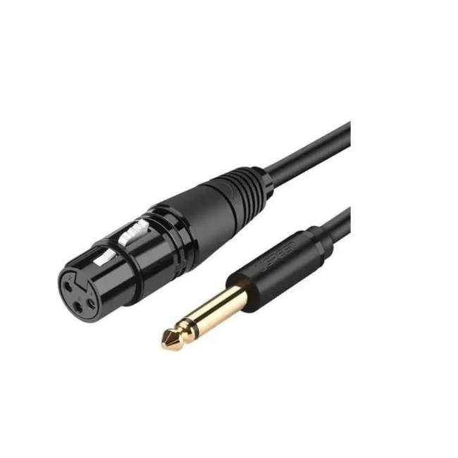 Ugreen 6.5mm to Cannon Female AV Cable (2m)